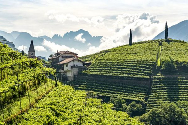 Alto Adige – Viên Ngọc Ẩn Mình Của Nước Ý